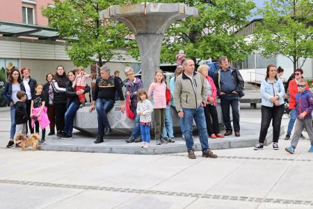 Čebela velikanka potuje po Kamniku (39)